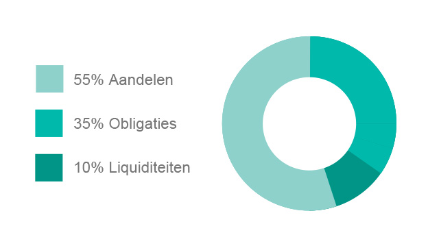 Matig offensief beleggen verdeling